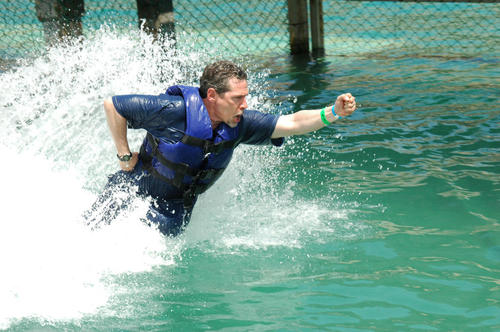 jimmcconnell's profile picture. 