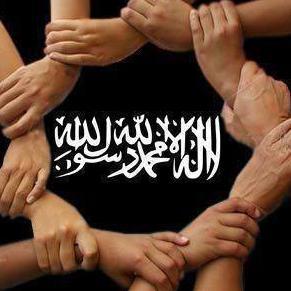 drasif75's profile picture. 