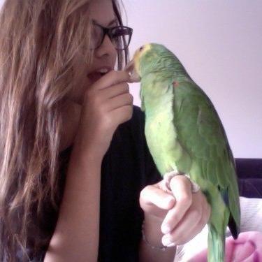 _best_alina's profile picture. студент историк