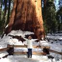 Ana maria zanella - @anadesarcina - Twitter