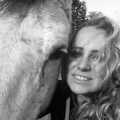 a_longford's profile picture. Horse lover, Cheltenham virgin (but not for long...) 

I follow back ;-)