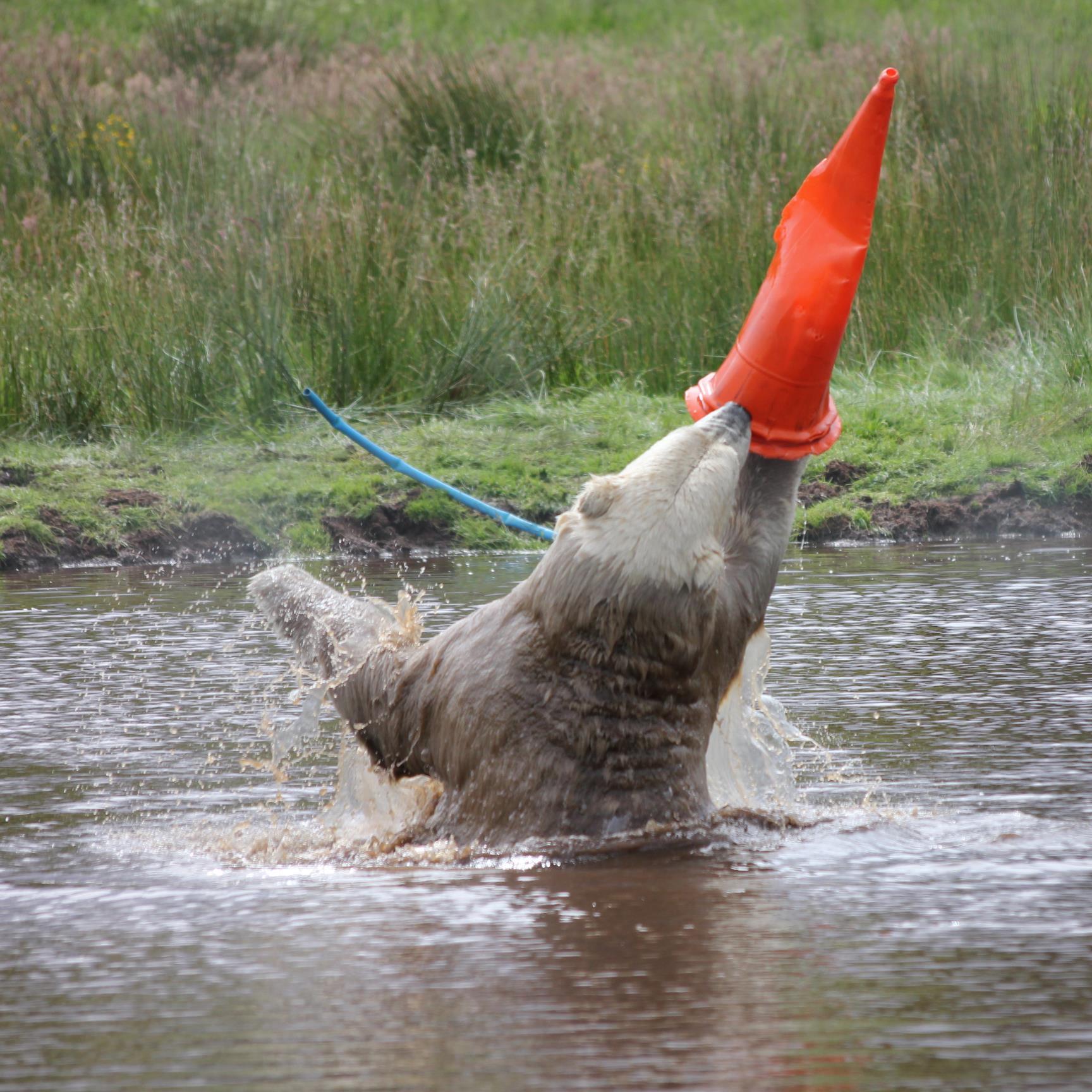 Education Officer @RZSS (@EdinburghZoo and @HighlandWPark). Environmental education / Wildlife conservation / All views my own.