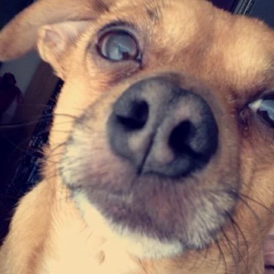 mojo0981's profile picture. 