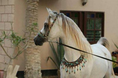 ‏سامحوني.. يارب أكون ذكرئ طيبه أذكروني بدعوه أسعد بها ..يارب نسألك الجنه وأحبتي في الله     الخاص ×