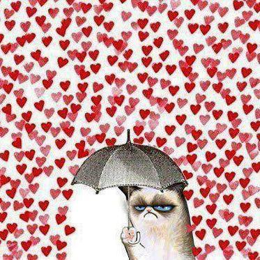 Hakuna_MatataOk's profile picture. https://t.co/Szjlk42Akm https://t.co/QVz2N3mBKL Mira mi rostro y veras felicidad, mira mis muñecas y te arrepentiras...