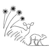 Kasanka Trust (@thekasankatrust) Twitter profile photo