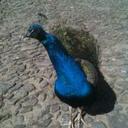 Amy Lyons - @amy0ly - Twitter