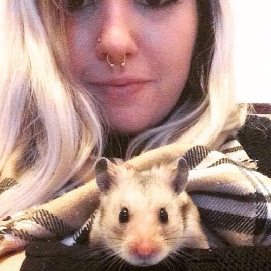 ROM_PR's profile picture. Online PR and Digital Distribution at @ROMBrighton robyn@republicofmusic.net