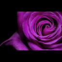 Violet Armstrong - @VioletStrongArm - Twitter