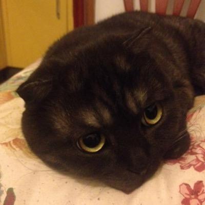 iamsusan91's profile picture. China