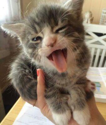 mesnier_eva's profile picture. 