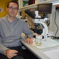 José M. Pérez-Pérez (@jmperez_lab) 's Twitter Profile