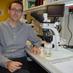 José M. Pérez-Pérez (@jmperez_lab) Twitter profile photo José M. Pérez-Pérez (@jmperez_lab) Twitter profile photo