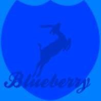 Blueberry™  Blueberry™ is a multipurpose organisation: I.T Consultant, Safety Consultant,  Propertymanagement. E-mail ✉: blueberryorganisation@outlook.com
