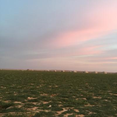 umhjoori's profile picture. 