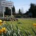 Bansha Tidy Towns  (@banshatidytowns) Twitter profile photo