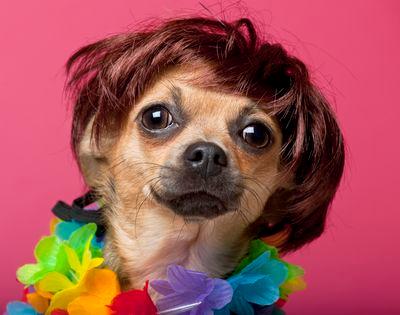Mommy, Auntie, Professional, Fabulous! Do what you love, love what you do!