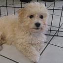 Ed Chen - @EdChen2 - Twitter