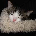 John Marrow - @stinkfingy - Twitter