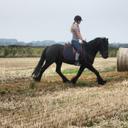 Emily Morey - @emilymoreyx - Twitter