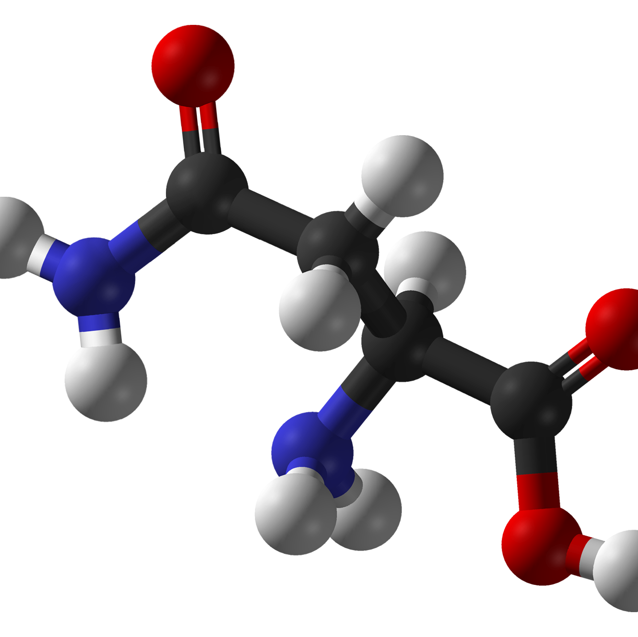 GlutaminaInfo's profile picture. 