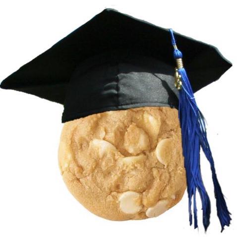 AcademiaCookie's profile picture. A critical eye on the ivory tower.