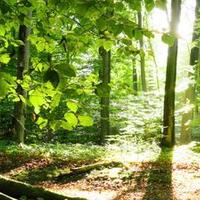 Mike A (@ivia) 's Twitter Profile