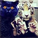 Вика - @theKiraFox - Twitter