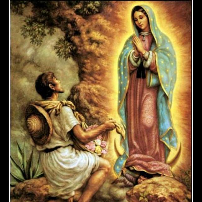 Sacerdote del Instituto del Verbo Encarnado, por la Gracia de Dios !!!