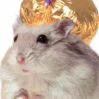 TrubotR's profile picture. 