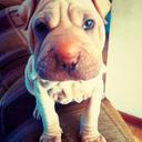 graciela centeno - @gracielaedelein - Twitter