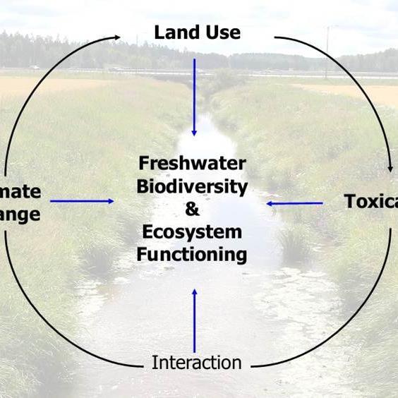 LandscapEcology Profile Picture