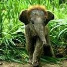 sodapop125's profile picture. 