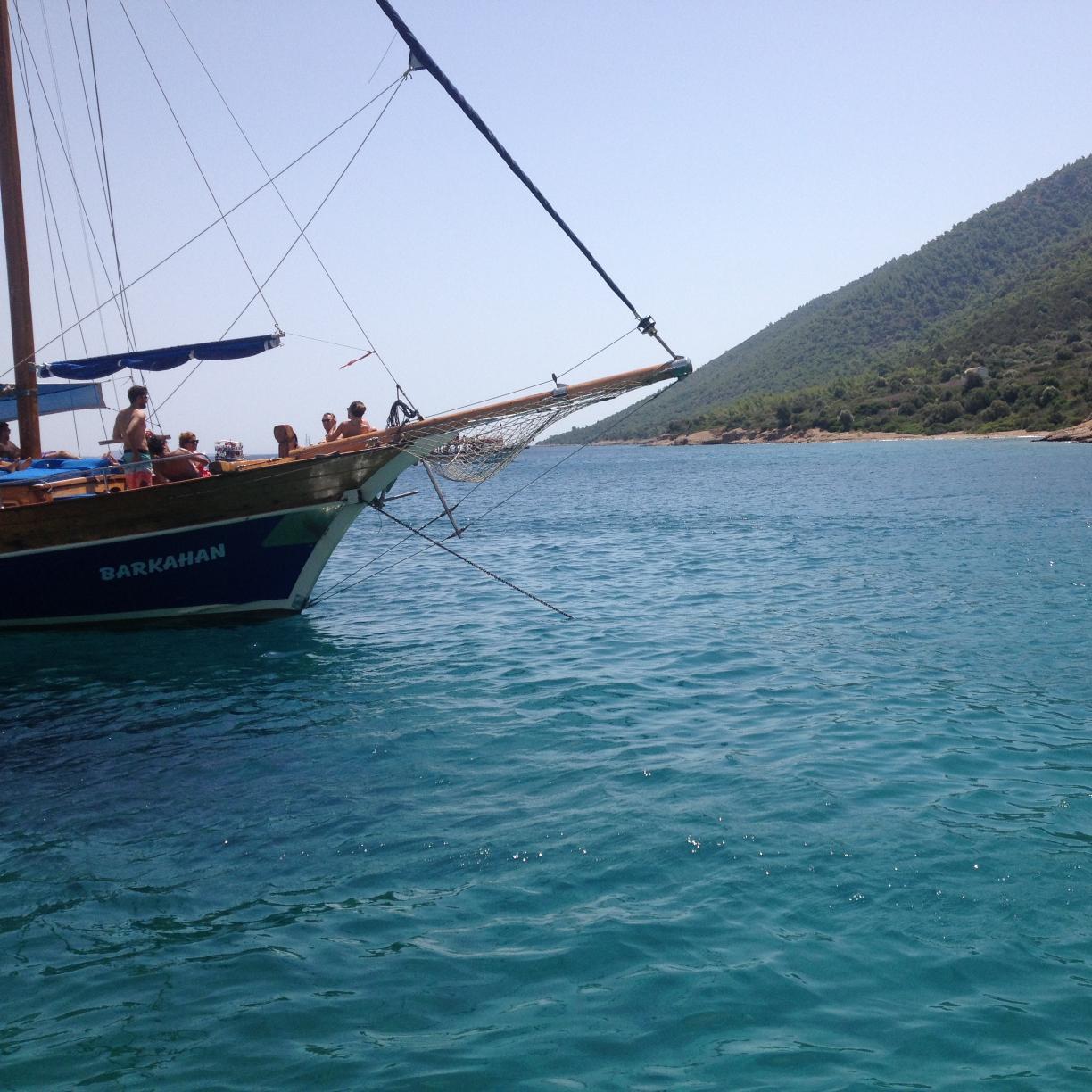 aytenalpan's profile picture. 