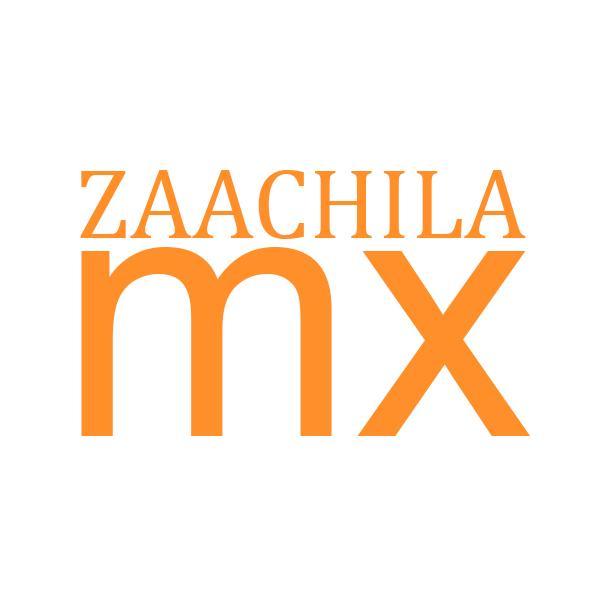 Dominio y hospedaje web para #zaachila