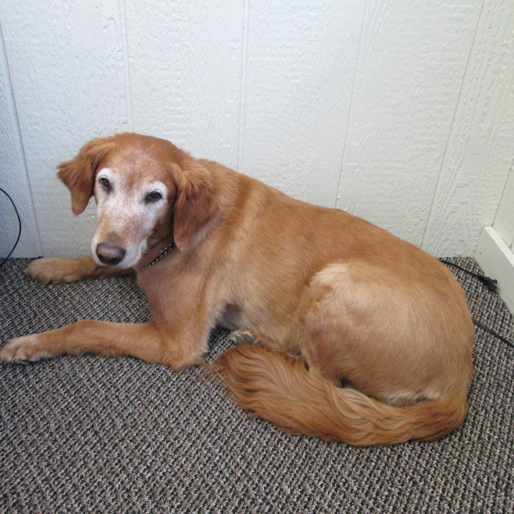 MarionAutoSales's profile picture. We have been selling used cars & driving the central, ohio community since 1982! I guess you could say we know what we are doing.