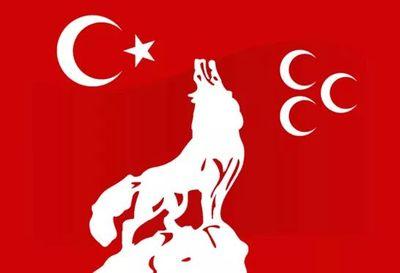 Ülkücüyüz gardaş ...   ( bir sorun mu vardı )......