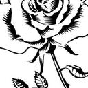 Jasmin Schultz - @96cbfddbd374434 - Twitter