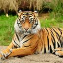 Devin Solomon - @solomon_devin - Twitter