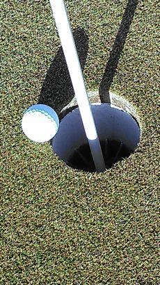 Love K, ALADBJ & E Cubed, M, C, V & L! Give my love to Buffalo, Buffalo!!! First Hole in One-10/29/19. MAGA!