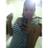 _Giannax11's profile image
