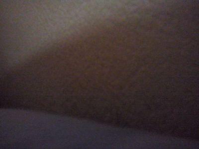 ~ Me segue,que eu te sigo de volta ' *-*
