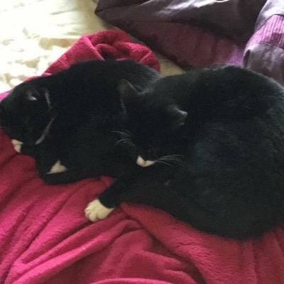 graeme_watp's profile picture. 