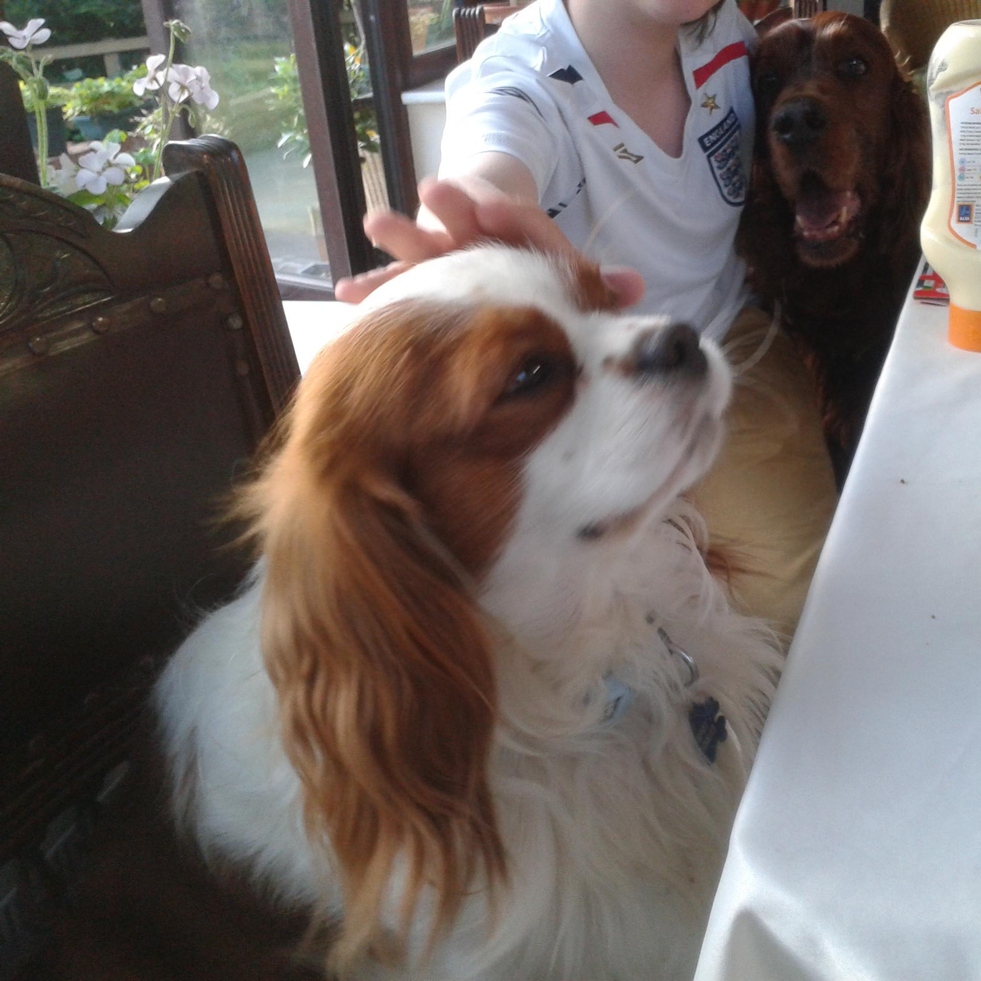 traceyjoe3's profile picture. 