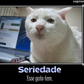 A vida é assim, simplesmente Incrível. Aqui tem de tudo, da zoeira a Seriedade.