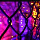 Megan Dawn Risner - @megan_risner - Twitter