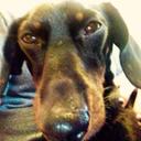 Ivy Williams  - @IvyWill32180118 - Twitter