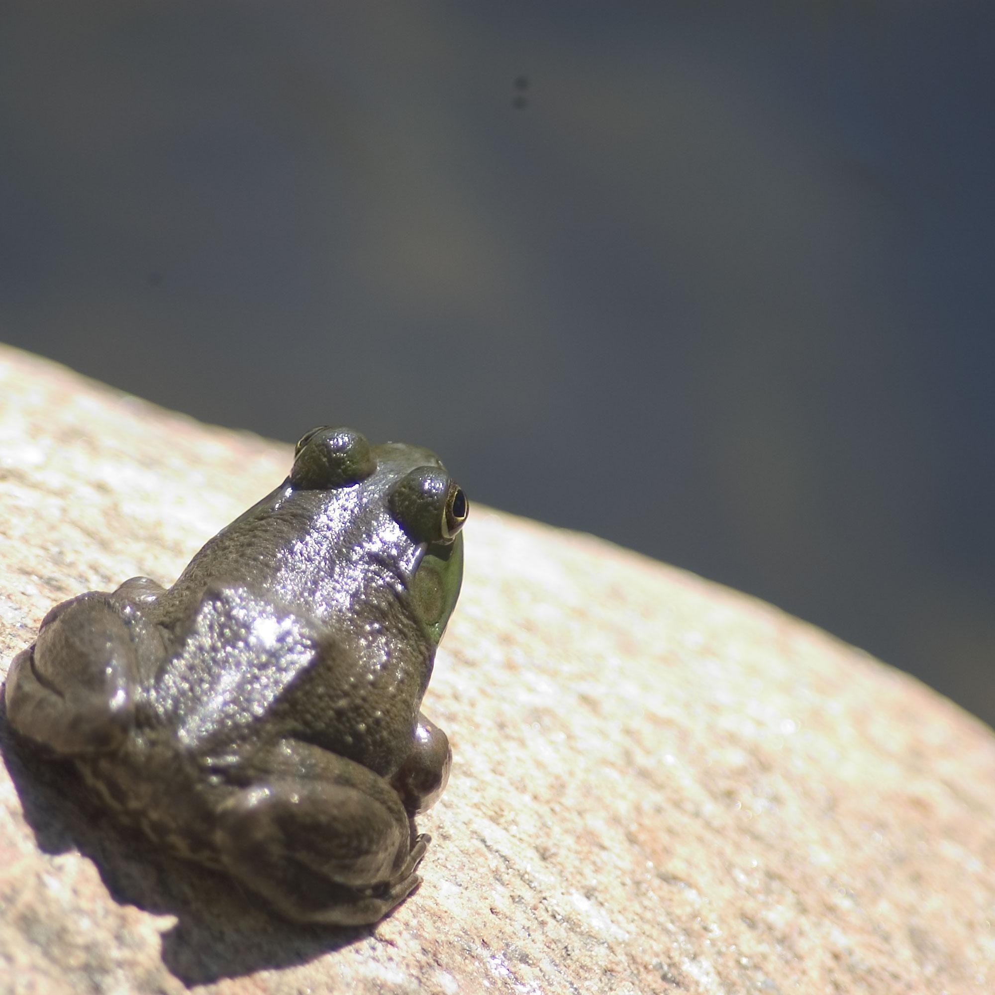 HelmlingerCo's profile picture. 