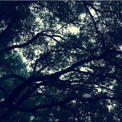 Heny0403's profile picture. 