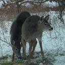 catherine eady - @catherineeady - Twitter